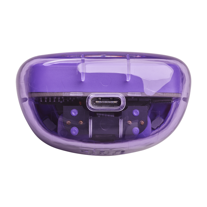 JBL Tune Flex Ghost Edition | True wireless Noise Cancelling earbuds